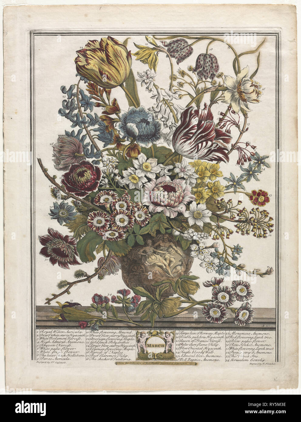 Twelve Months of Flowers:  March, 1730. Henry Fletcher (British, active 1715-38). Engraving, hand-colored; platemark: 41 x 31 cm (16 1/8 x 12 3/16 in.); paper: 46.6 x 35.5 cm (18 3/8 x 14 in Stock Photo