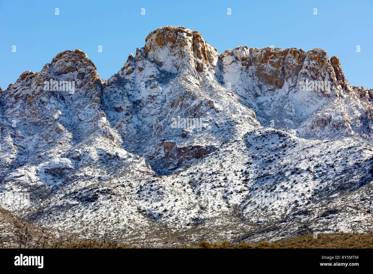 Fresh snowfall Pusch Ridge, Santa Catalina Mountains, Catalina State