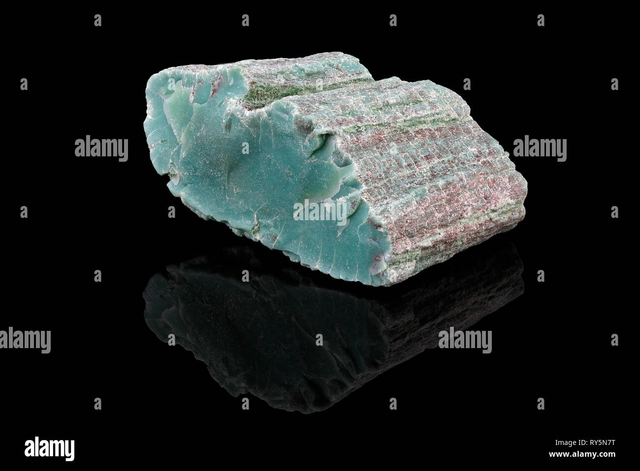Chromium Petrified Tree Wood (Conifer-Araucarioxylon Arizonicum), The wood has been replaced with mineralized chromium, giving it its green color. It  Stock Photo