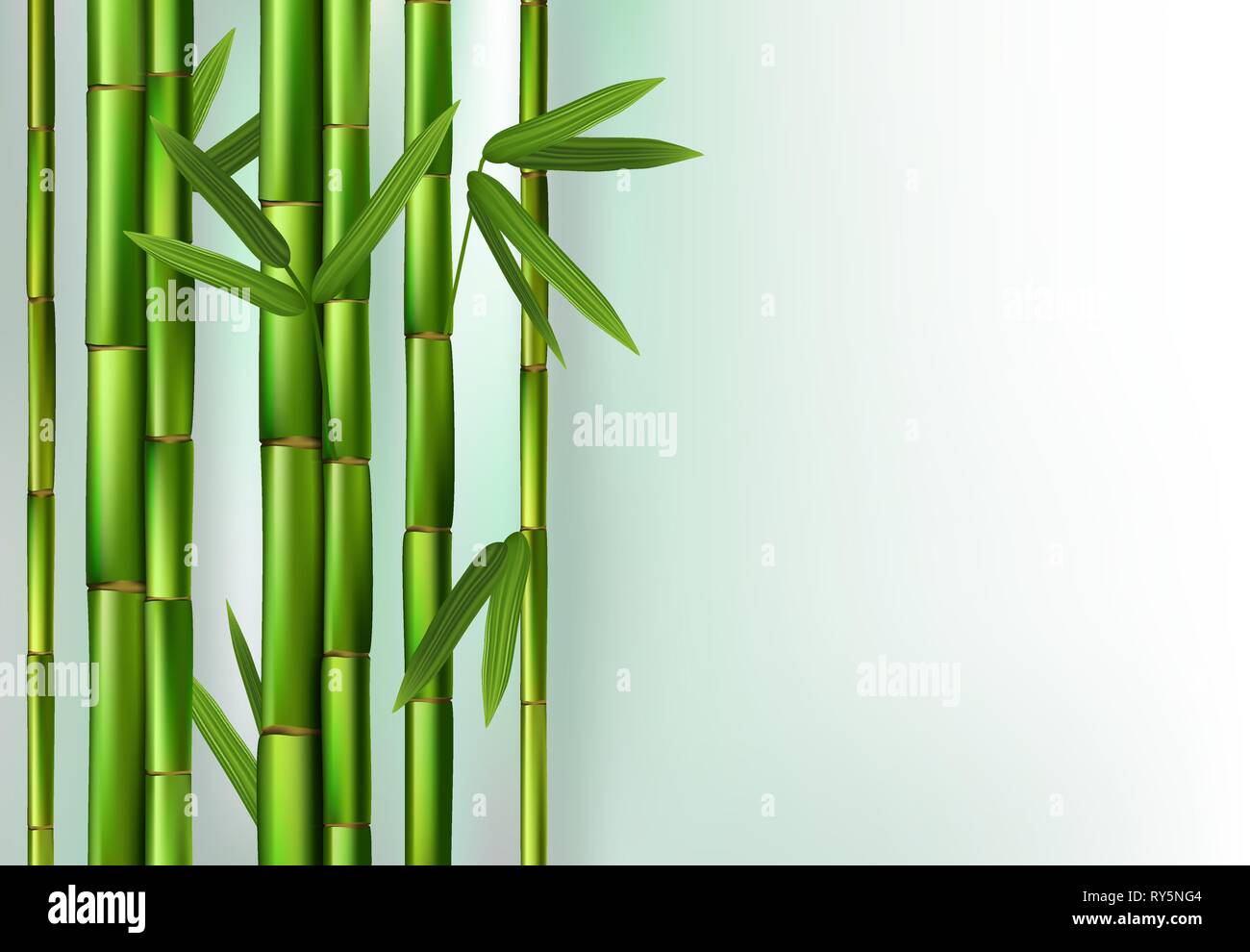 Green bamboo trunks background realistic vector illustration Stock Vector