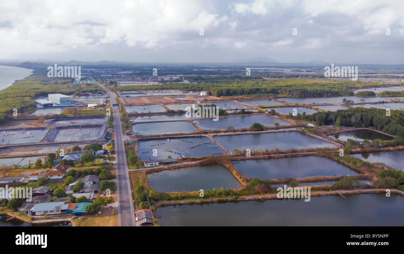 Aerial view of shrimp farm and air purifier in Thailand. Stock Photo