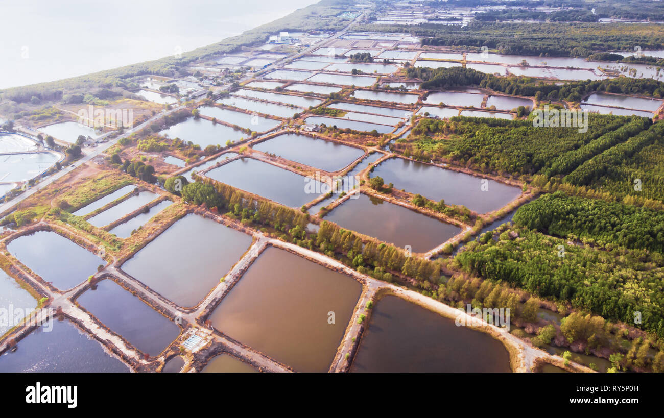 Aerial view of shrimp farm and air purifier in Thailand. Stock Photo