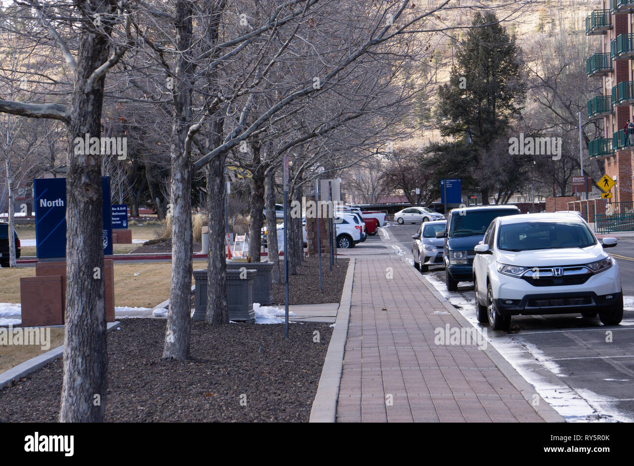 Row of trees along a path at Northern Arizona University in Flagstaff