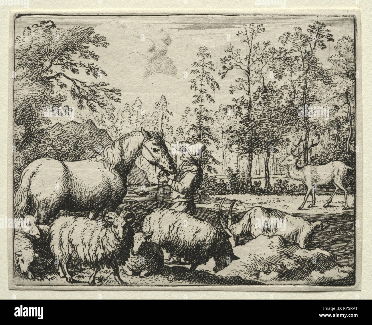 Reynard the Fox:  The Jealous Horse. Allart van Everdingen (Dutch, 1621-1675). Etching Stock Photo