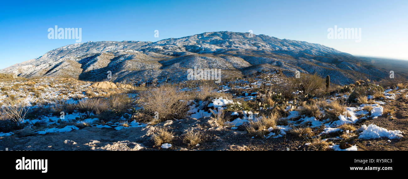 Winter Panorama, Rincon Mountains, Redington Pass, Tucson, Arizona Stock Photo