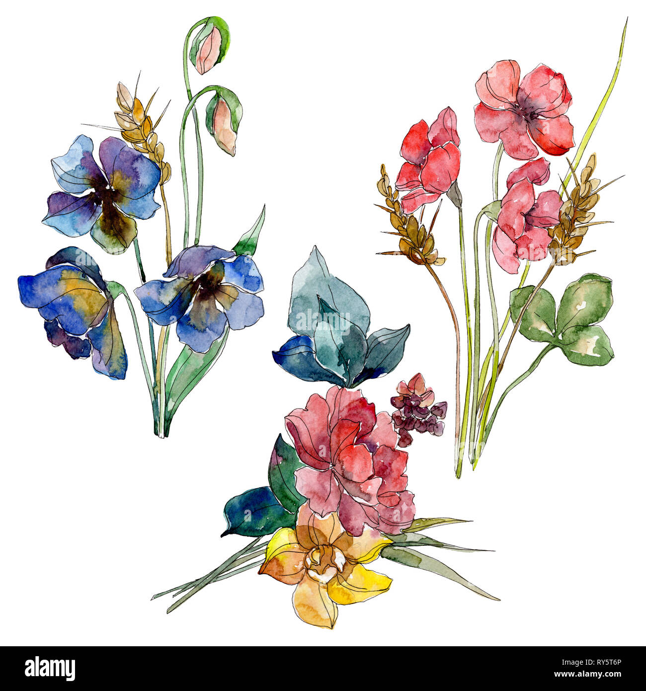 Watercolor Wildflowers Bouquets Summer Collection