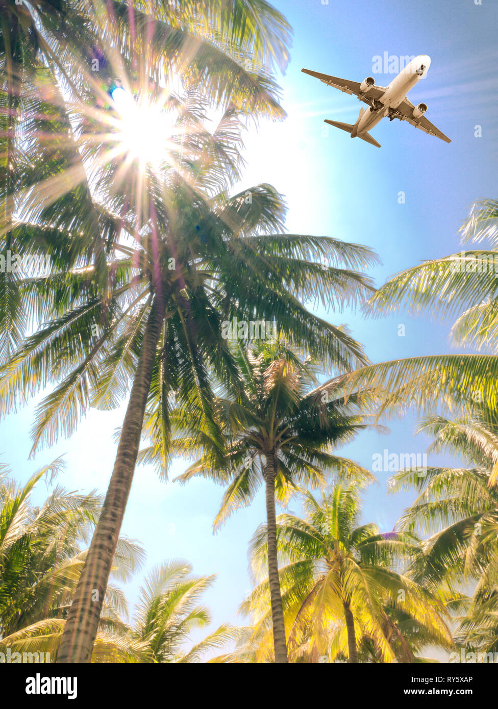 Airplane and Vintage tone style coconut tree on the beach Stock Photo