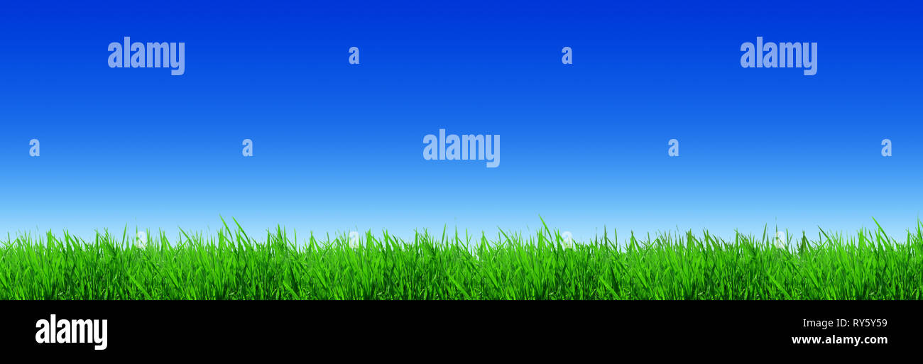 Blue sky sun green grass hi-res stock photography and images - Alamy
