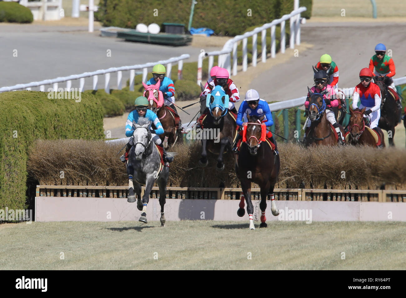 Hyogo, Japan. 9th Mar, 2019. (L-R) Secret Path (Yusuke Igarashi), Yamanin Sylphe (Tadashi Kosaka), Oju Chosan (Shinichi Ishigami), Taisei Dream (Kenji Hirasawa), Smart Carlos (Yoshiyasu Nanba), Thinking Dancer (Mitsuki Kaneko) Horse Racing : Oju Chosan ridden by Shinichi Ishigami wins the Hanshin Spring Jump at Hanshin Racecourse in Hyogo, Japan . Credit: Eiichi Yamane/AFLO/Alamy Live News Stock Photo
