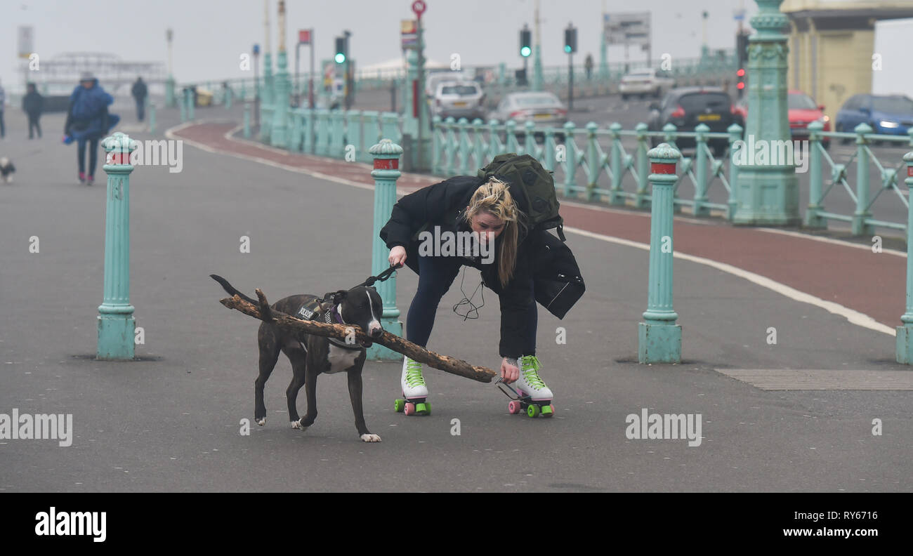 Brighton, UK. 12th Mar, 2019. Its not easy to roller-skate along Brighton seafront as Storm Gareth arrives in Britain and Ireland with wind speeds forecast to reach up to 70 mph in some areas Credit: Simon Dack/Alamy Live News Stock Photo