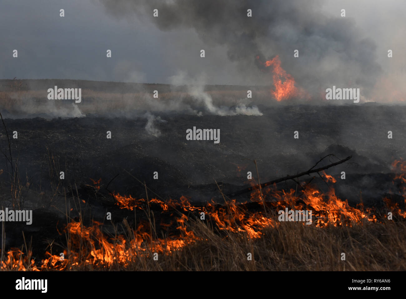 Astrakhan, Russia. 12th March, 2019.  Extinguishing of the steppe fire in Astrakhan region, Russia. Every spring there are fires in the steppe area of Astrakhan region. Most of them is a result of focused burnings by unknown persons. Credit: Maxim Korotchenko/Alamy Live News. Stock Photo