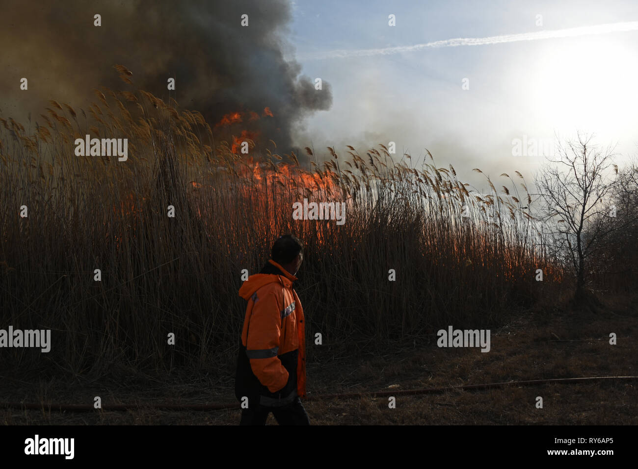 Astrakhan, Russia. 12th March, 2019.  Extinguishing of the steppe fire in Astrakhan, Russia. Every spring there are fires in the steppe area of Astrakhan region. Most of them is a result of focused burnings by unknown persons. Credit: Maxim Korotchenko/Alamy Live News. Stock Photo