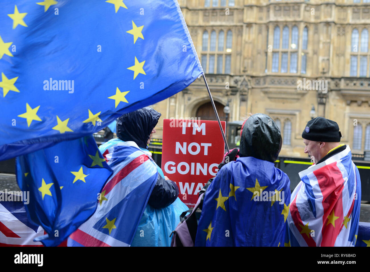 London, UK. 12th March, 2019. Anti-Brexit Activists demonstrate opposite The Houses Of Parliament. Westminster, London. 12th of March 2019. Credit: Thomas Krych/Alamy Live News Stock Photo