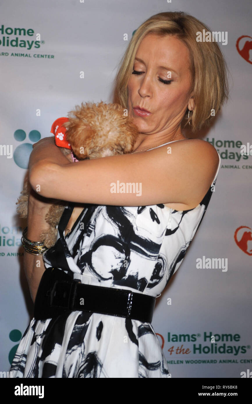 NEW YORK OCTOBER 06 Actress and Iams Home 4 the Holidays North