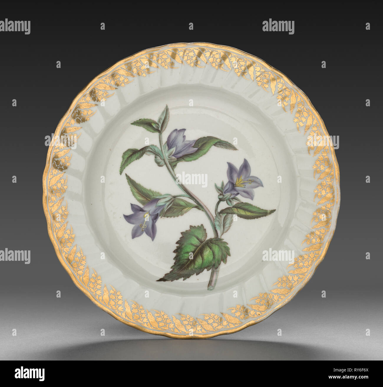 Plate from Dessert Service: Nettle Leaved Bell Flower, c. 1800. Derby (Crown Derby Period) (British). Porcelain; diameter: 23.4 cm (9 3/16 in.); overall: 3.1 cm (1 1/4 in Stock Photo