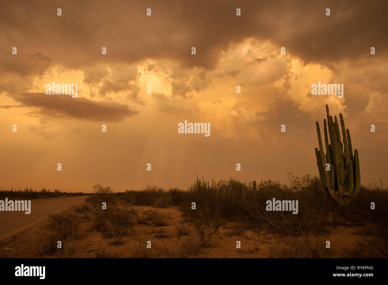 Tormenta hi-res stock photography and images - Page 9 - Alamy