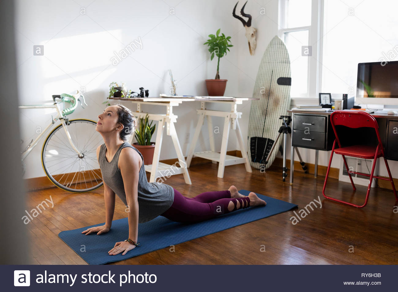 Young Latinx woman practicing yoga upward facing dog pose in apartment Stock Photo