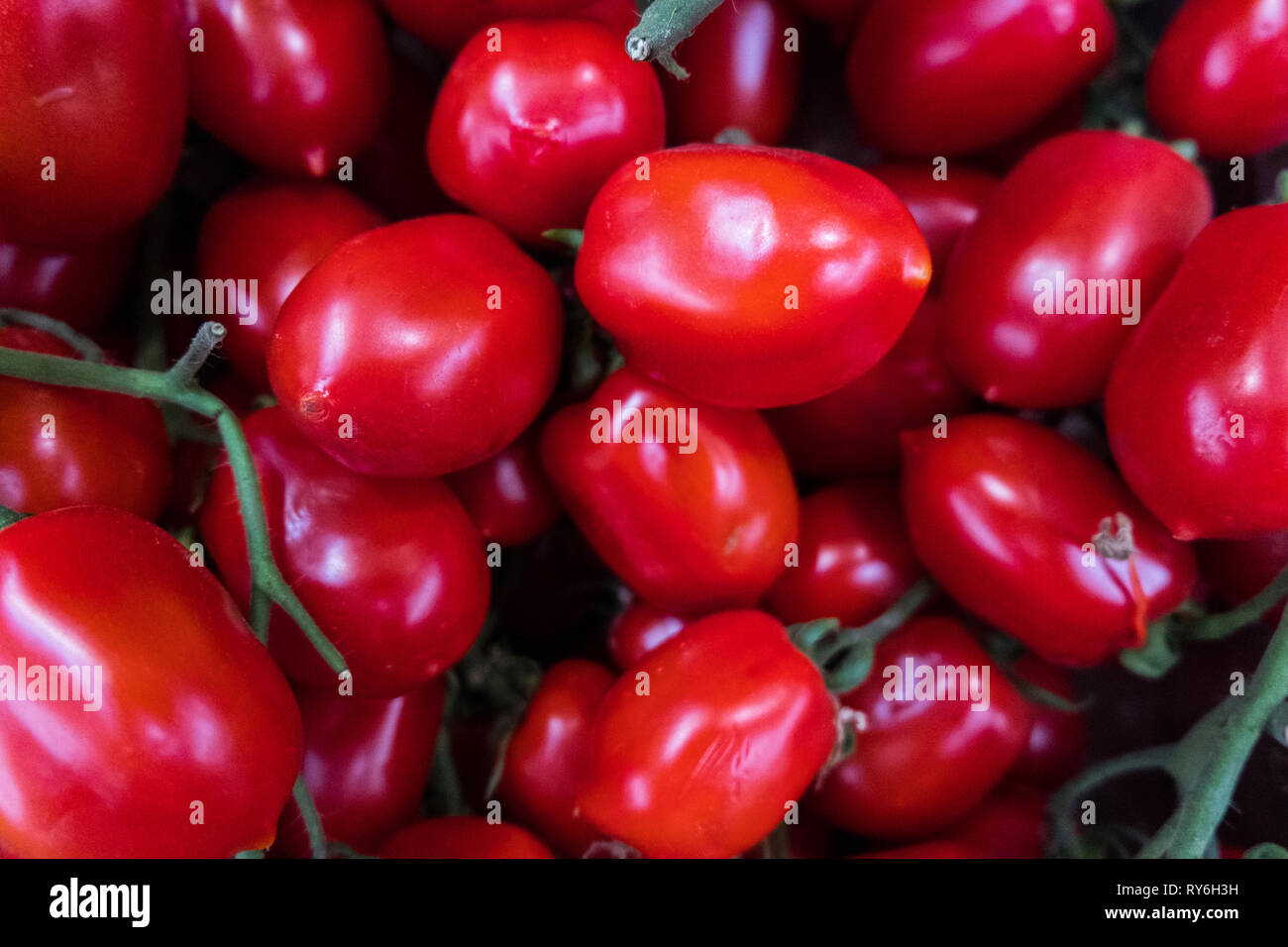 Tomatoes for sale at the market stall hi-res stock photography and ...