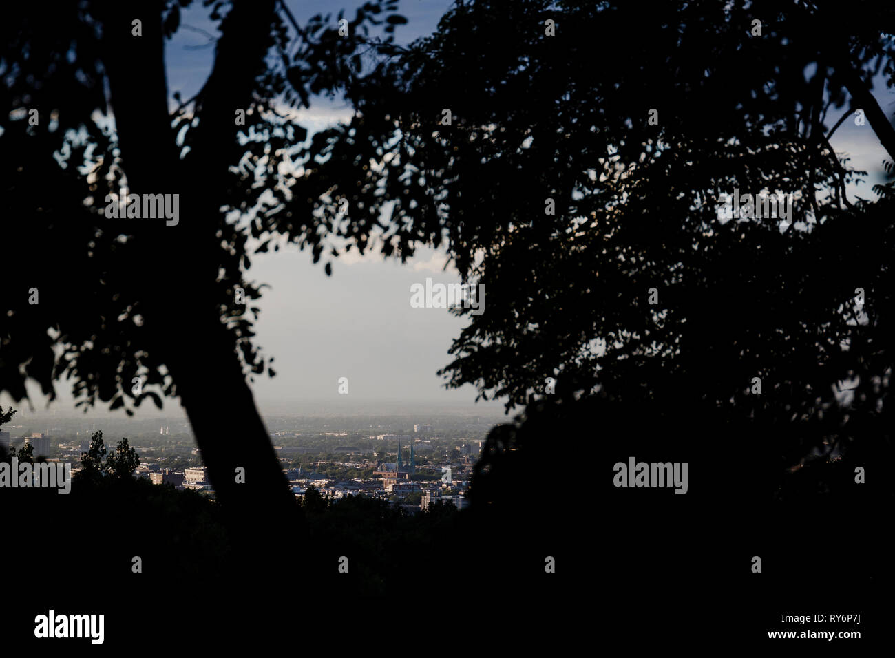 Silhouette trees sunlight hi-res stock photography and images - Alamy