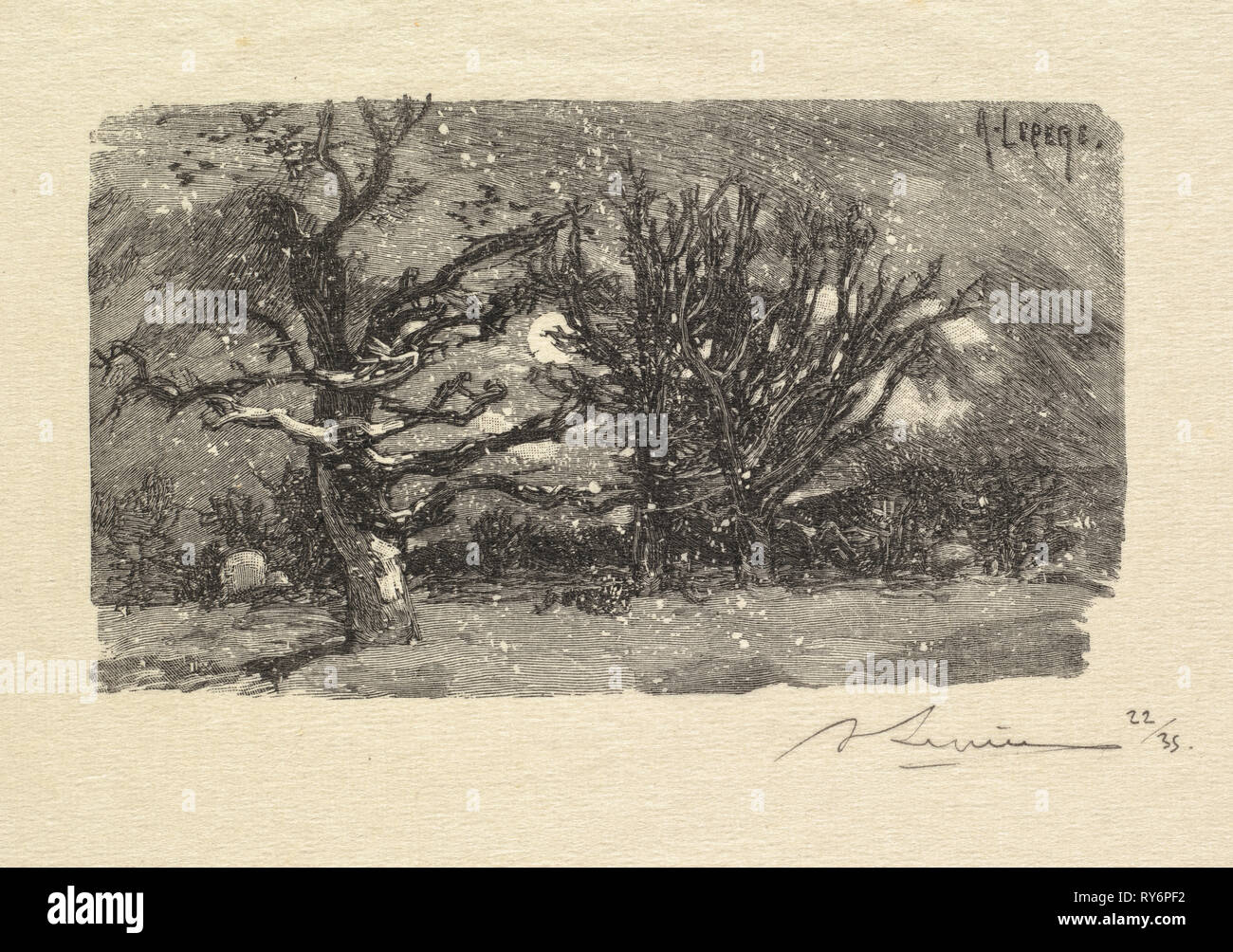 Fontainebleau Forest: Au dormoir de Lantara (La Forêt de Fontainebleau: Au dormoir de Lantara), 1890. Auguste Louis Lepère (French, 1849-1918), A. Desmoulins, Published in Revue Illustrée, 1887-90. Wood engraving from bound volume of 34 ; sheet: 15.4 x 22.2 cm (6 1/16 x 8 3/4 in.); image: 6.4 x 11.3 cm (2 1/2 x 4 7/16 in Stock Photo