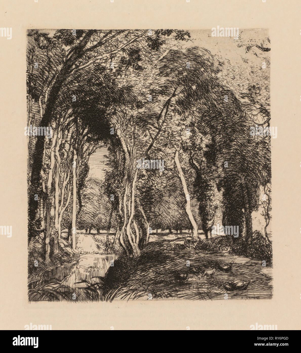 Auguste Lepère: Sous bois, à la Rigonette (Vendèe). Auguste Louis Lepère (French, 1849-1918). Etching, from bound volume with seven etchings; sheet: 30.7 x 22.6 cm (12 1/16 x 8 7/8 in.); platemark: 17.7 x 17.2 cm (6 15/16 x 6 3/4 in Stock Photo