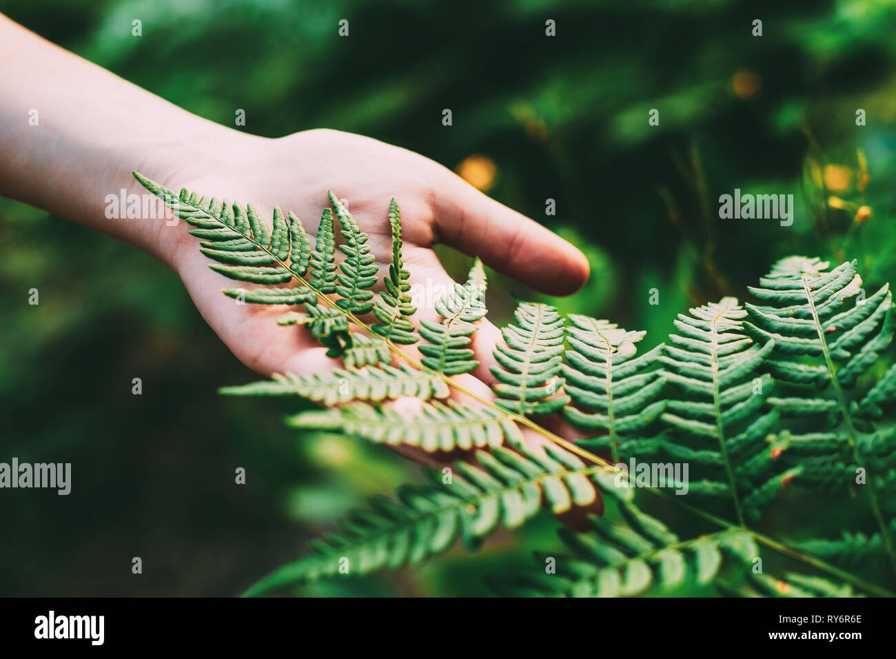 Young Beauty Girl Woman Touching Holding Fern Leaf In Summer Park Forest. Close Up Of Female Hand. Concept Of Nature, Environment Care. Summer Season Stock Photo
