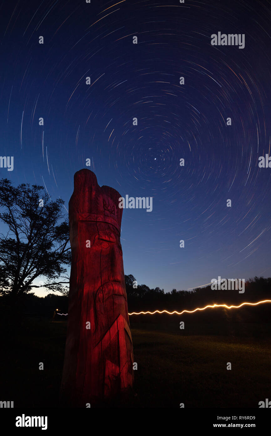 Scenic view of star trails over wooden statue at night Stock Photo