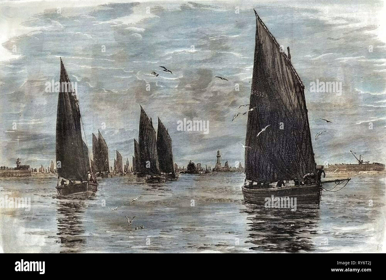 Aberdeen the Herring Fleet 1885 UK Stock Photo Alamy