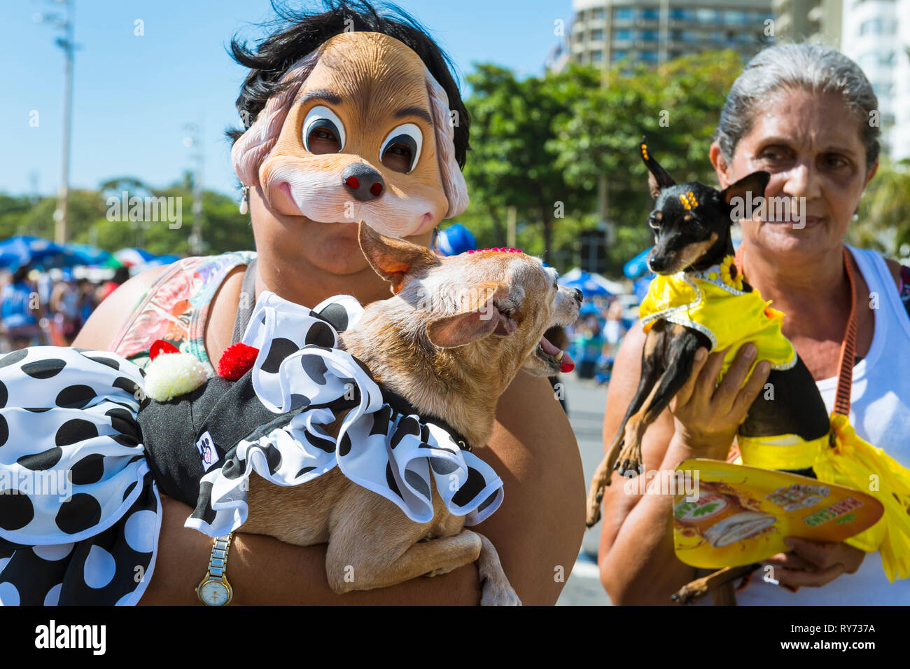 RIO DE JANEIRO - FEBRUARY 19, 2017: Dog owners pose with their pets dressed up for Carnival at the annual Blocão pet street party in Copacabana. Stock Photo