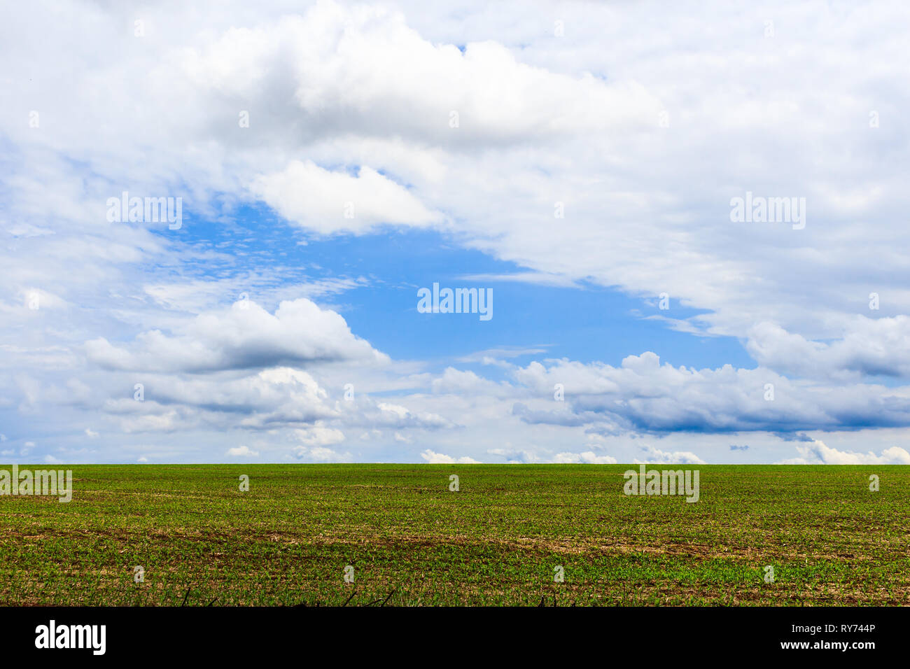 Soybean cultivation brazil hi-res stock photography and images - Alamy