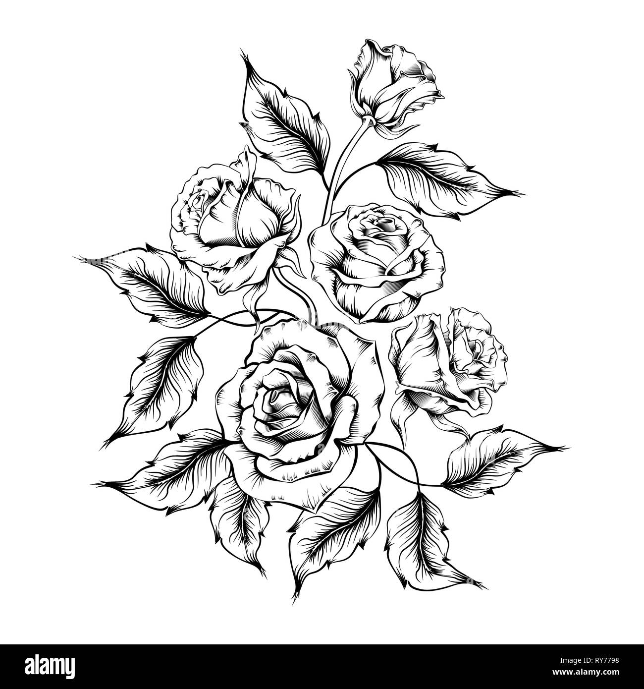 Rose tattoo. Silhouette of roses and leaves on a white background ...