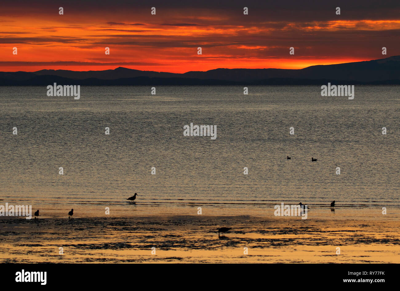 Semiahmoo Bay sunset, Blaine Marine Park, Blaine, Washington Stock