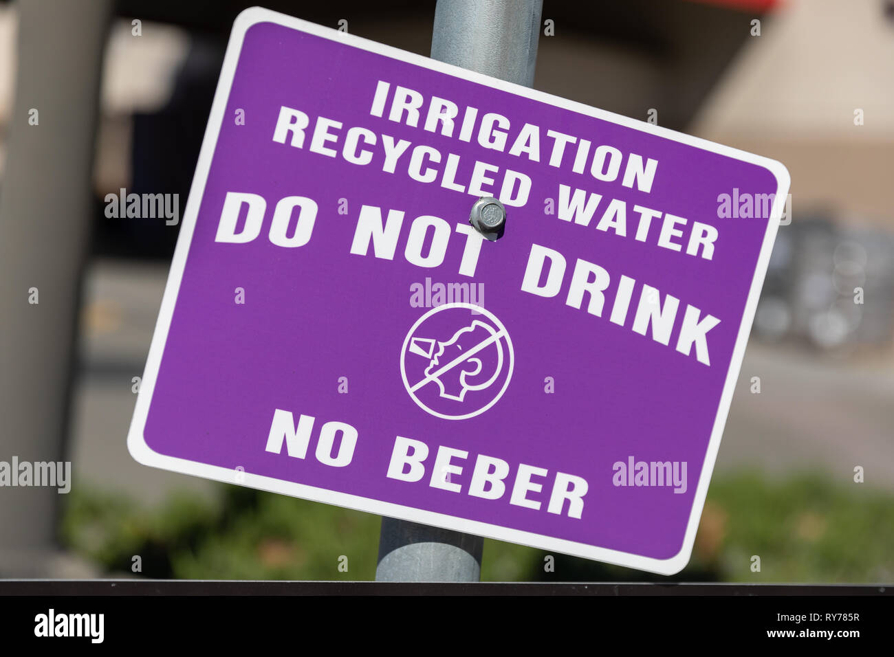 "Irrigation Recycled Water Do Not Drink No Beber", sign