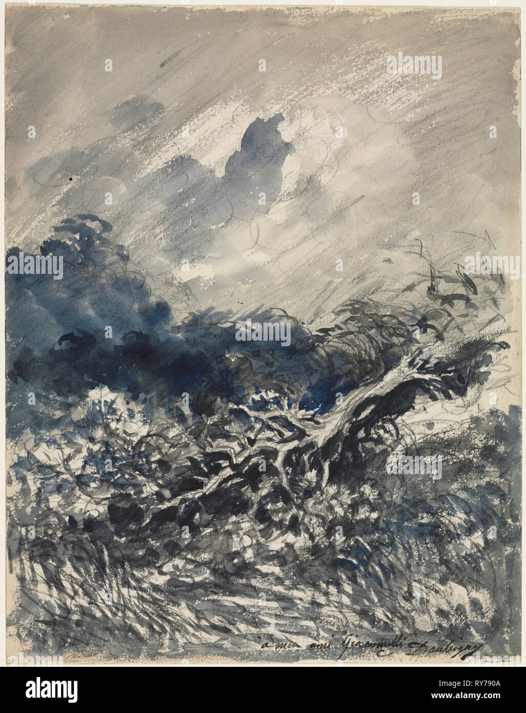 The Oak Tree and the Reed, c. 1873. Charles François Daubigny (French, 1817-1878). Blue and black wash; sheet: 29.3 x 23 cm (11 9/16 x 9 1/16 in Stock Photo