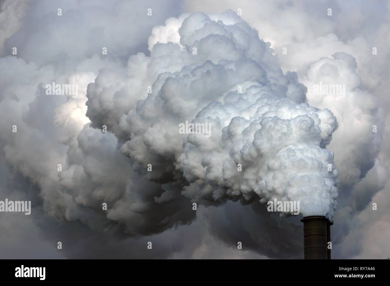 Moorburg power plant, chimney with exhaust cloud, Hamburg, Germany Stock Photo