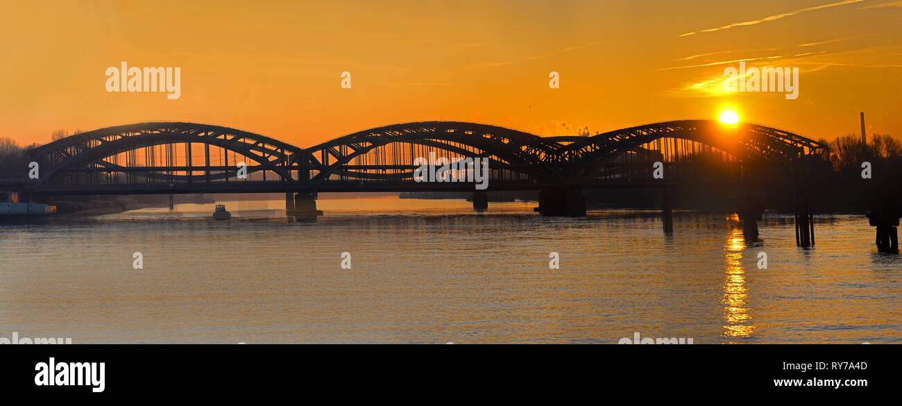Freeport Elbe Bridge, steel bridge over the Elbe at sunset, Hamburg