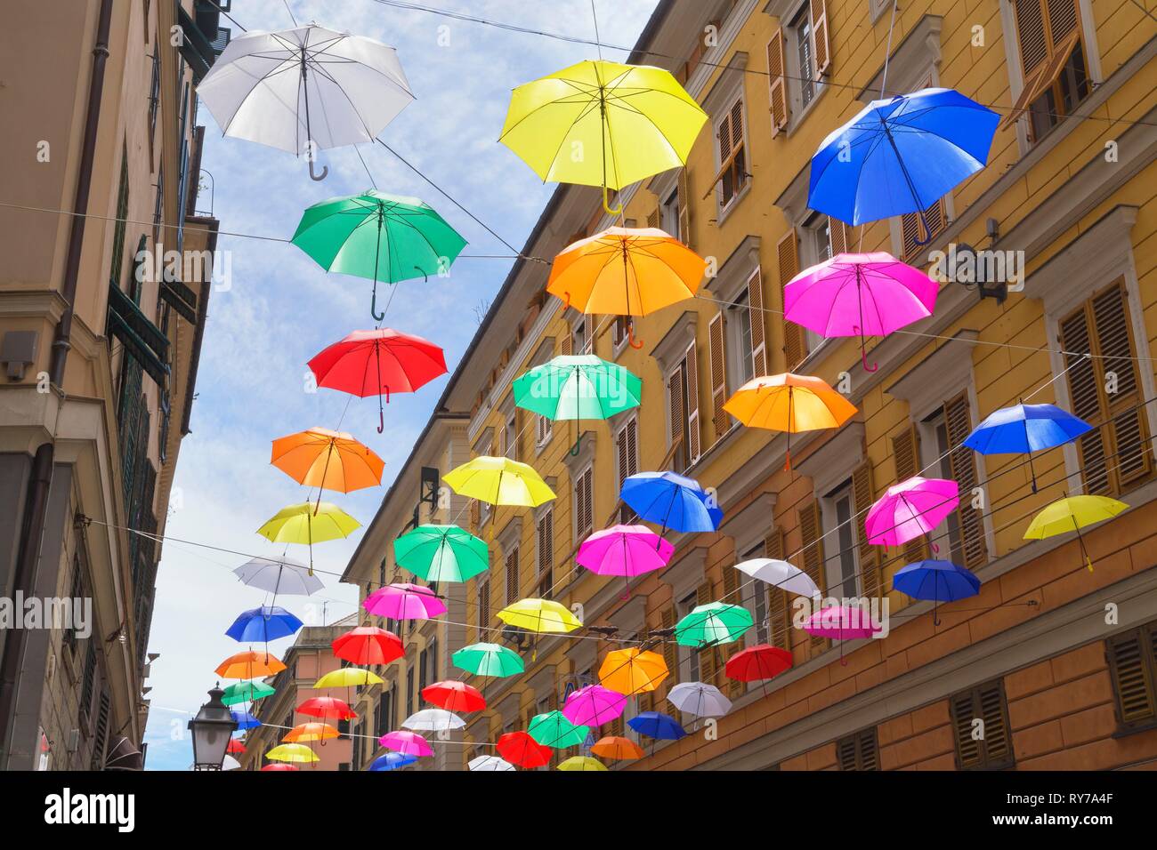 Brightly coloured floating umbrellas between buildings, Genoa, Liguria, Italy Stock Photo