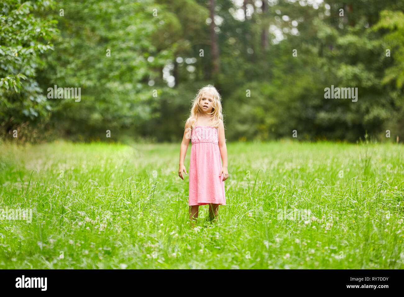Blonde girl on a summer Meadow during the vacation in the park or in the garden Stock Photo