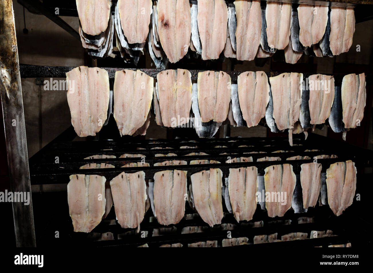 Raw kippers being prepared for smoking at Moors Kippers, a family business since 1770, in Peel on the west coast of the Isle of Man, Britain.   A few  Stock Photo