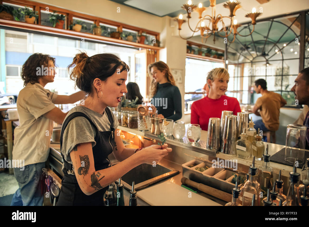 Young female bartender pouring cocktails behind a bar counter Stock Photo