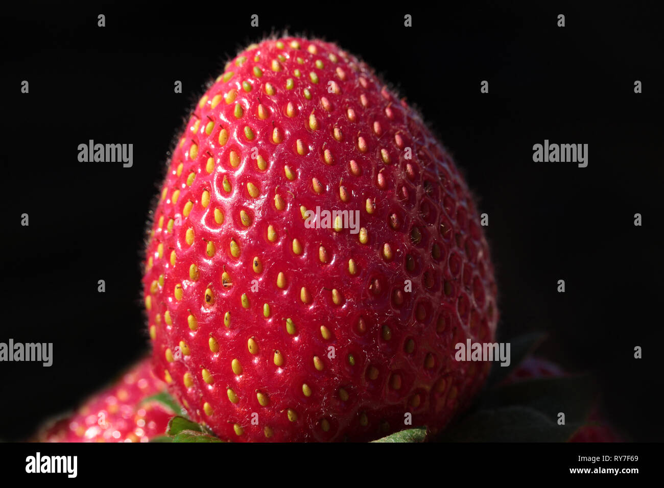 fresh strawberry background Stock Photo - Alamy