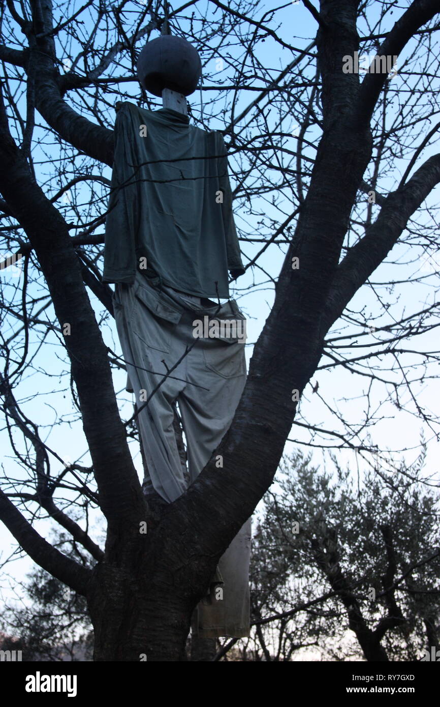 a scarecrow hanging from a tree's neck. Stock Photo