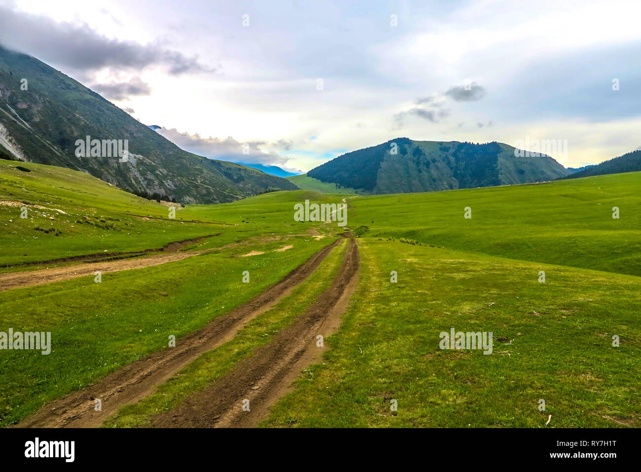 Grigorievka Gorge in Kyrgyzstan with Kungei Ala Too Mountain Range Forest Car Road Track Stock Photo