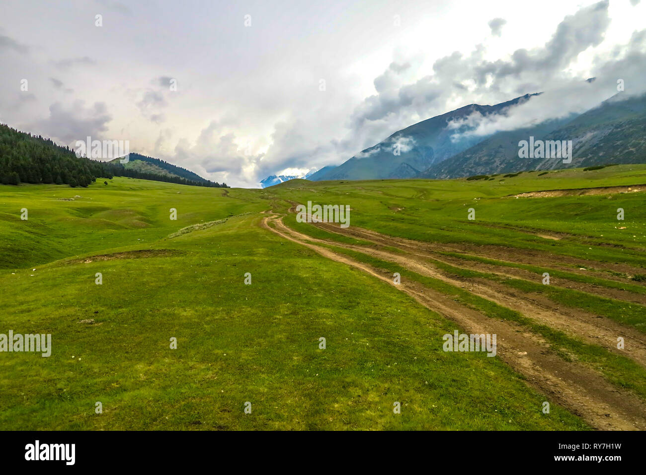 Grigorievka Gorge in Kyrgyzstan with Kungei Ala Too Mountain Range Forest Car Road Track Stock Photo