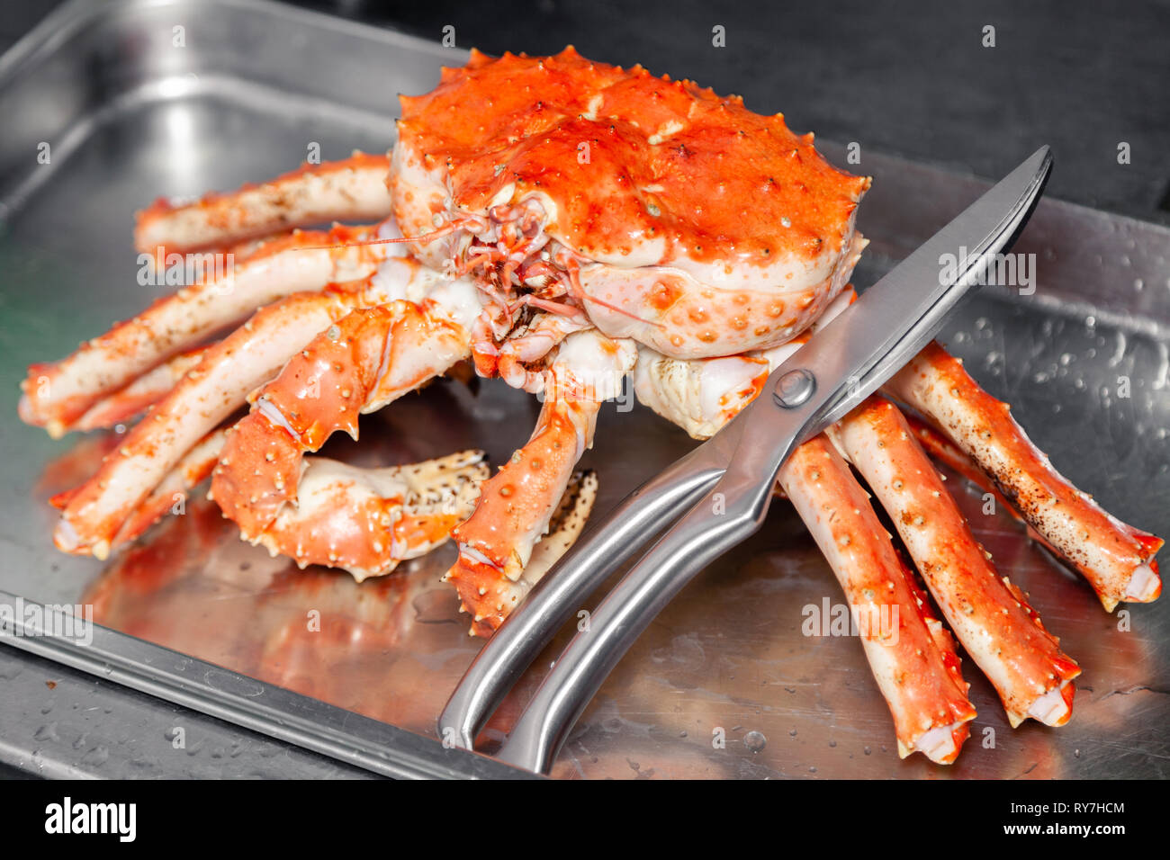 Kamchatka crab hires stock photography and images Alamy