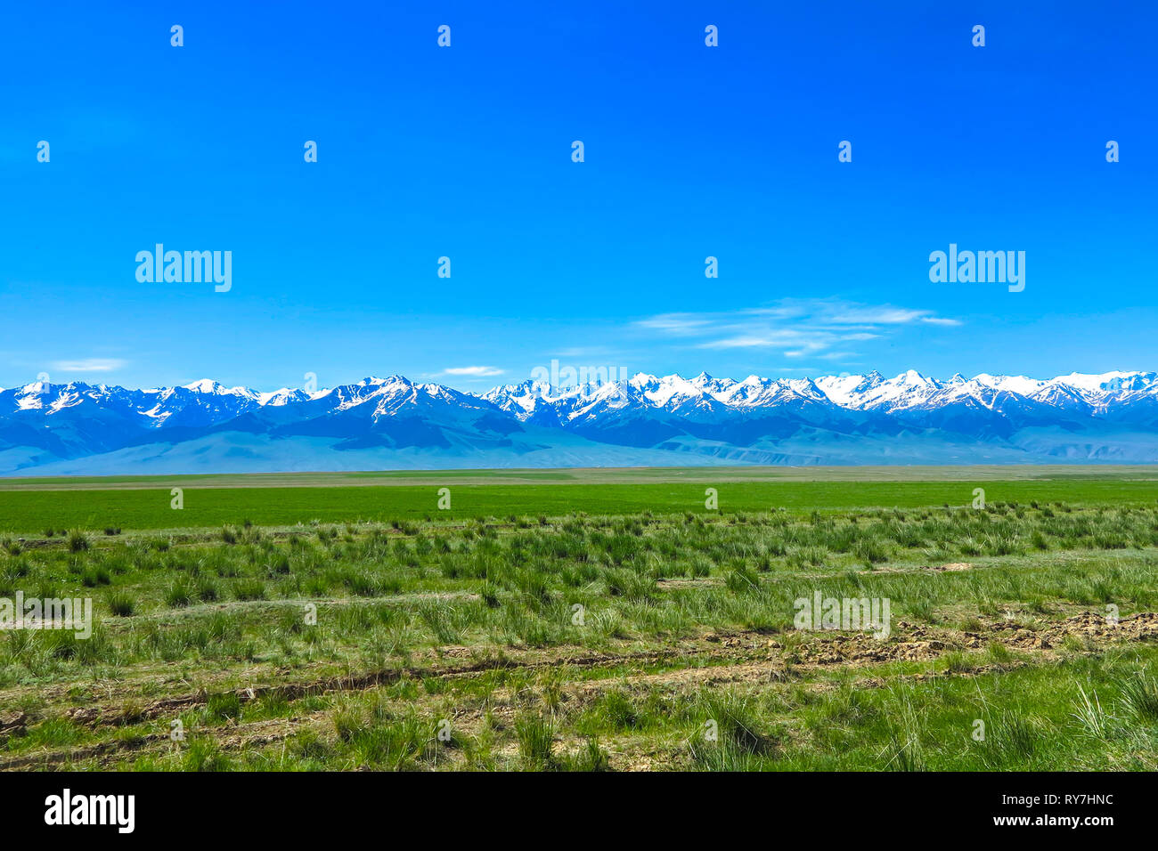 At Bashy Too Snow Capped Mountain Range Peaks and Grass Land Valley Landscape Stock Photo