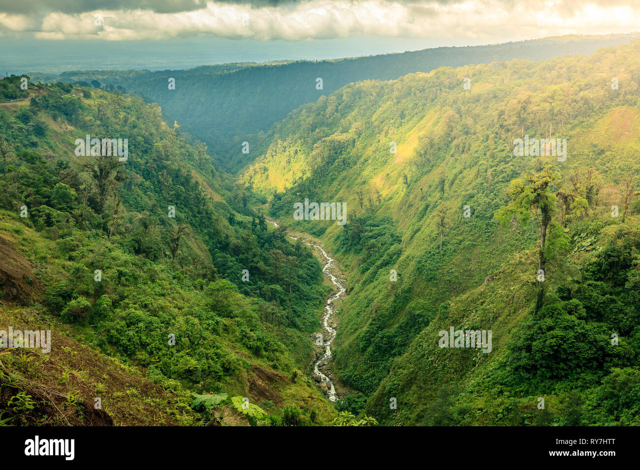 Scenic view of a ravine with a creek in central Costa Rica Stock Photo
