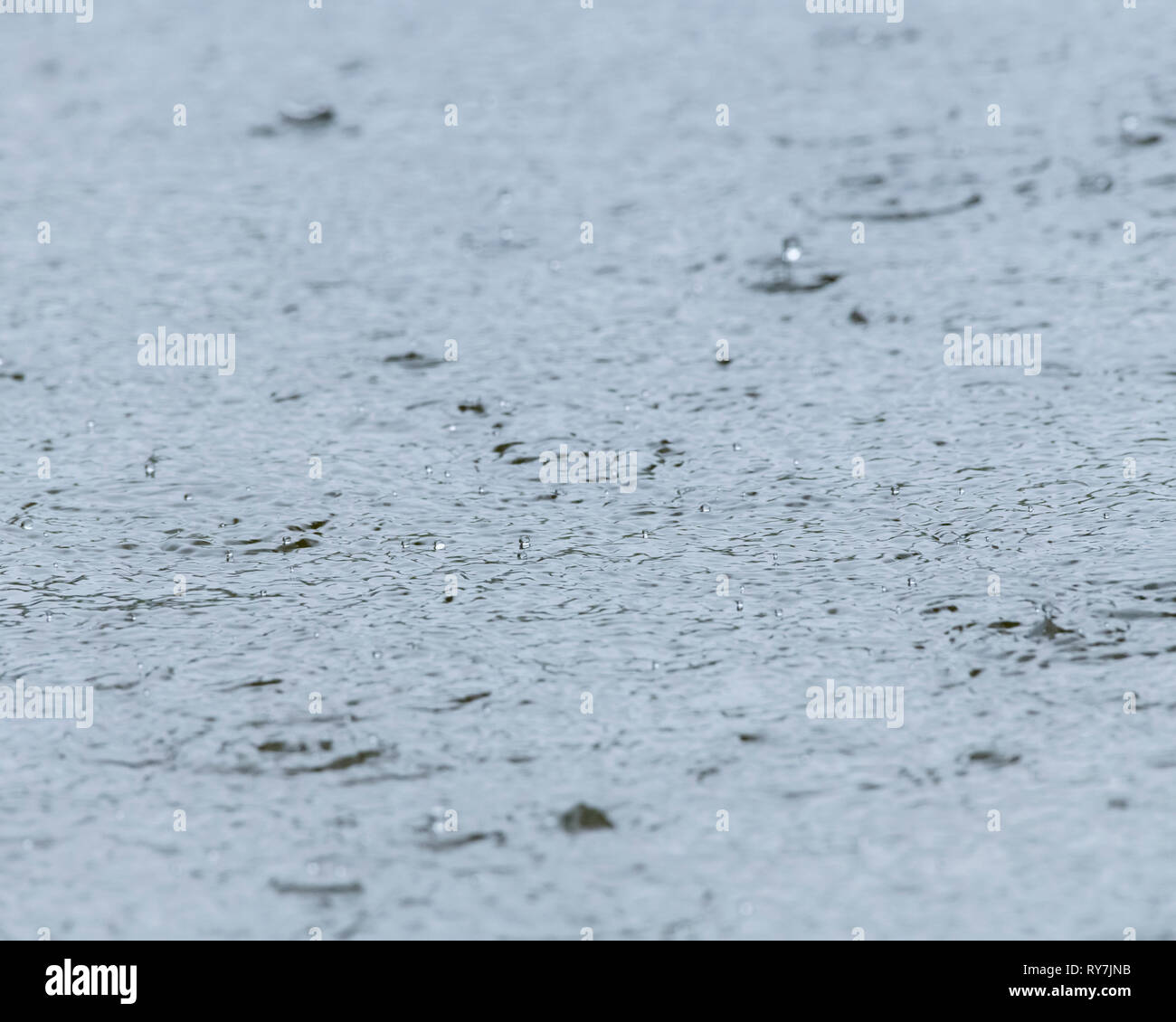 Raindrops falling on the waters of the River Fowey at Lostwithiel ...