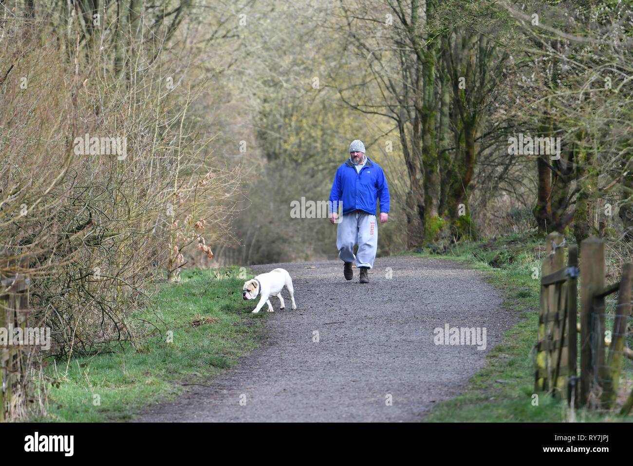 A dog walker on the Sett Valley Trail near New Mills, Derbyshire. Stock Photo