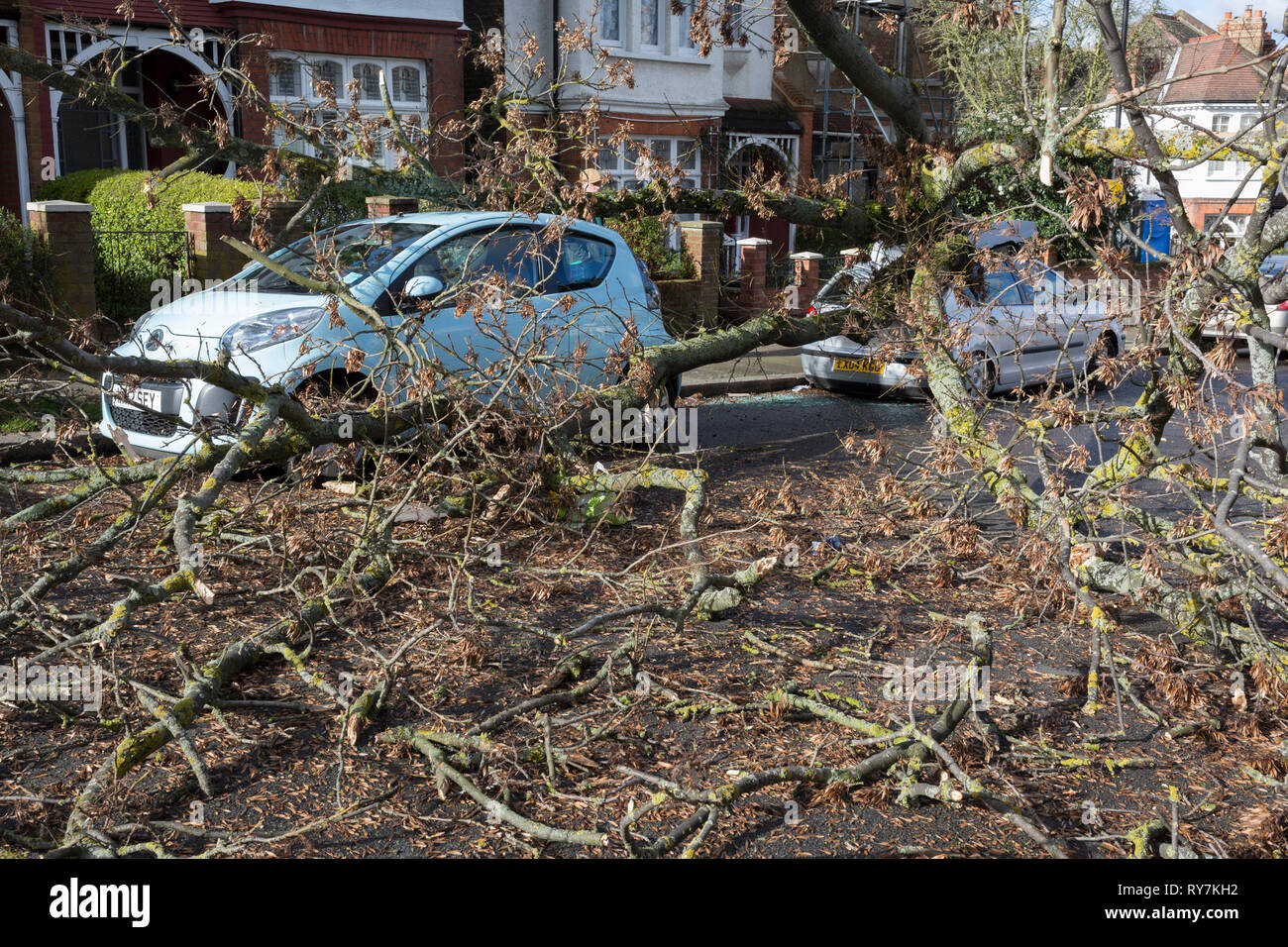 Following strong gusts of winds in south London, a car has been crushed